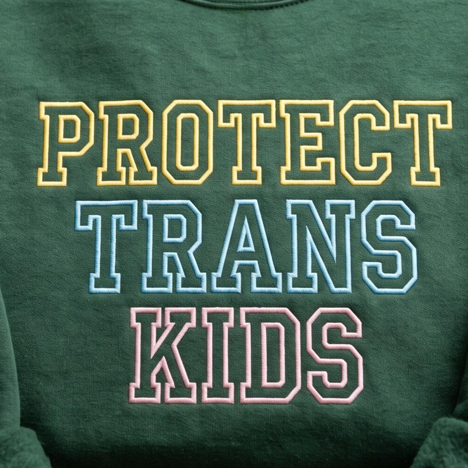 Embroidered Protect Trans Kids Sweatshirt, Gay Pride T-Shirt, Lesbian Tee, Transgender Shirts 2