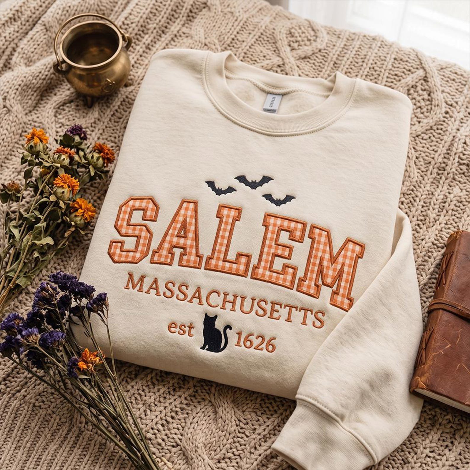 Salem Applique Sweatshirt, Massachusetts Halloween Crewneck, Gingham Collegiate Salem Shirt, Witch City Spooky Season Sweatshirt 3