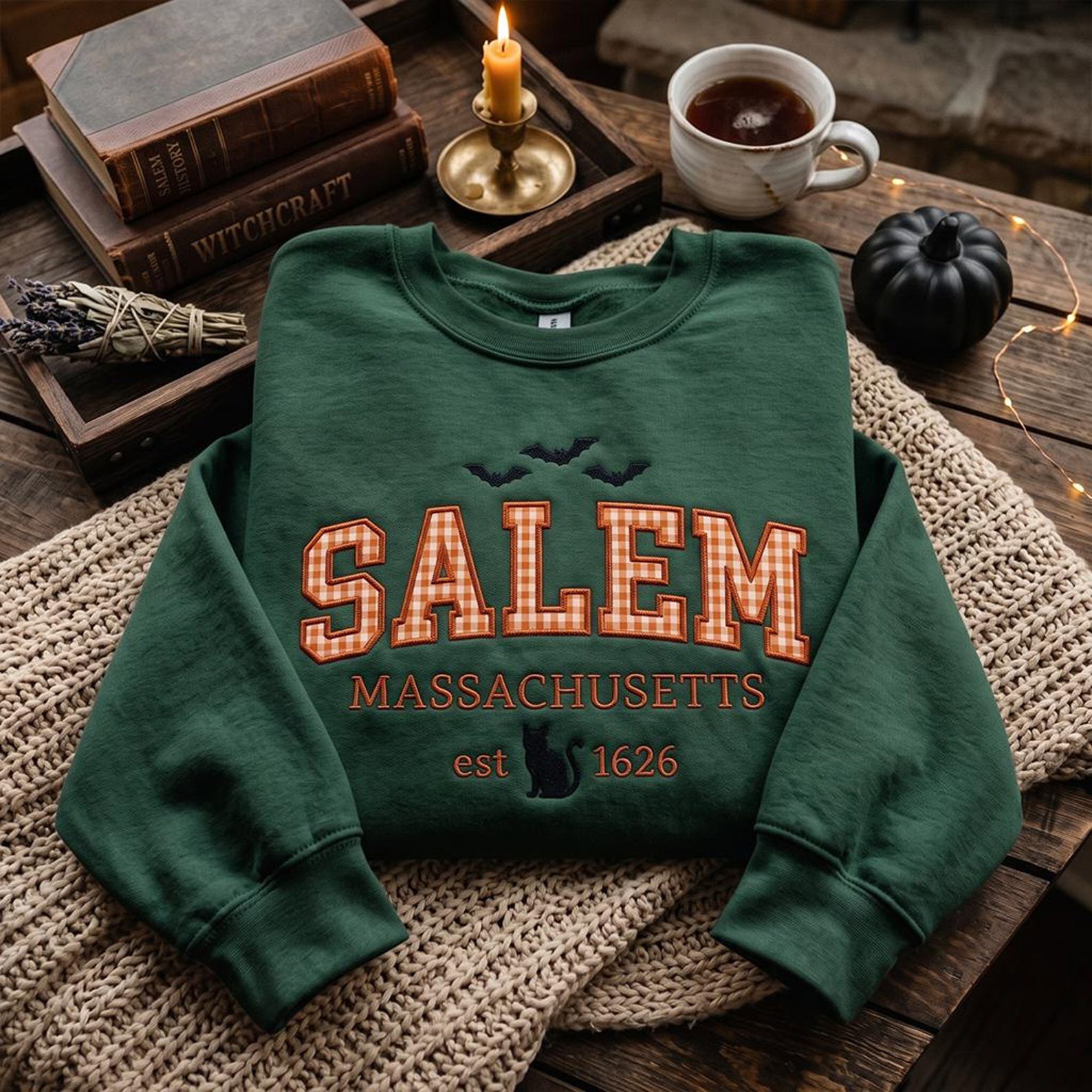 Salem Applique Sweatshirt, Massachusetts Halloween Crewneck, Gingham Collegiate Salem Shirt, Witch City Spooky Season Sweatshirt 1