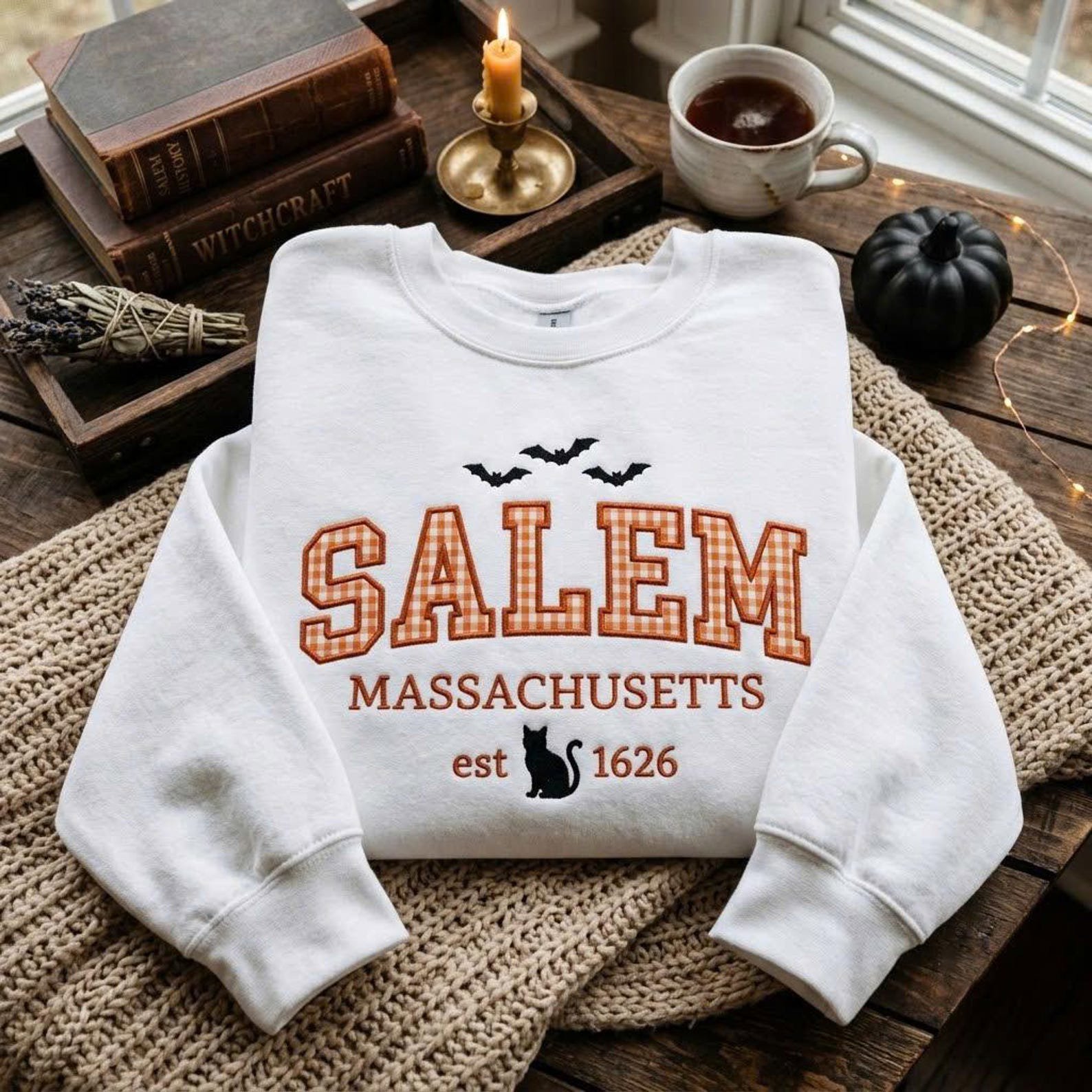 Salem Applique Sweatshirt, Massachusetts Halloween Crewneck, Gingham Collegiate Salem Shirt, Witch City Spooky Season Sweatshirt 4