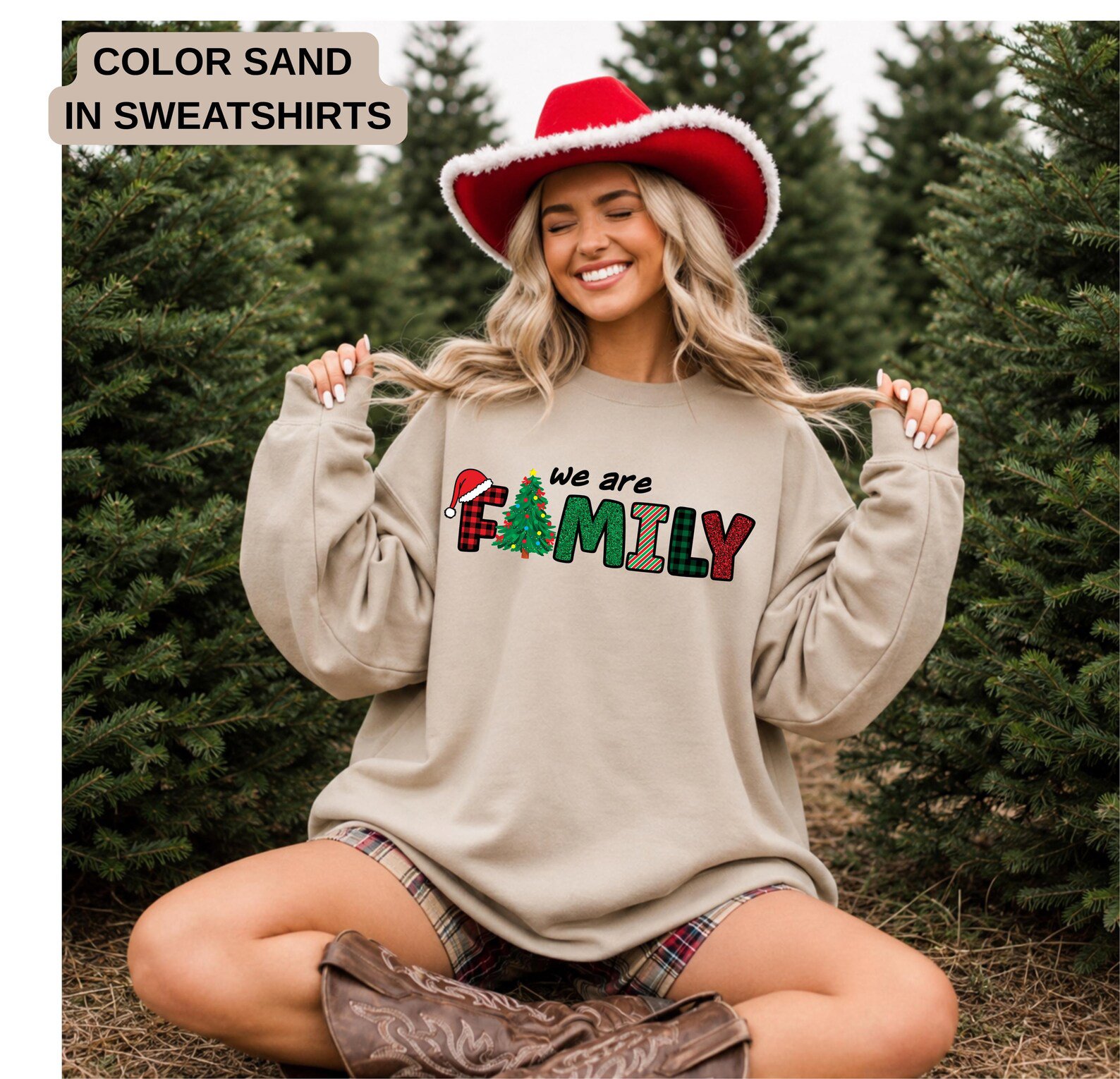 We Are Family Matching Christmas Sweatshirts, Festive Holiday Crew Shirt , Pajama Party Vacation Apparel 3