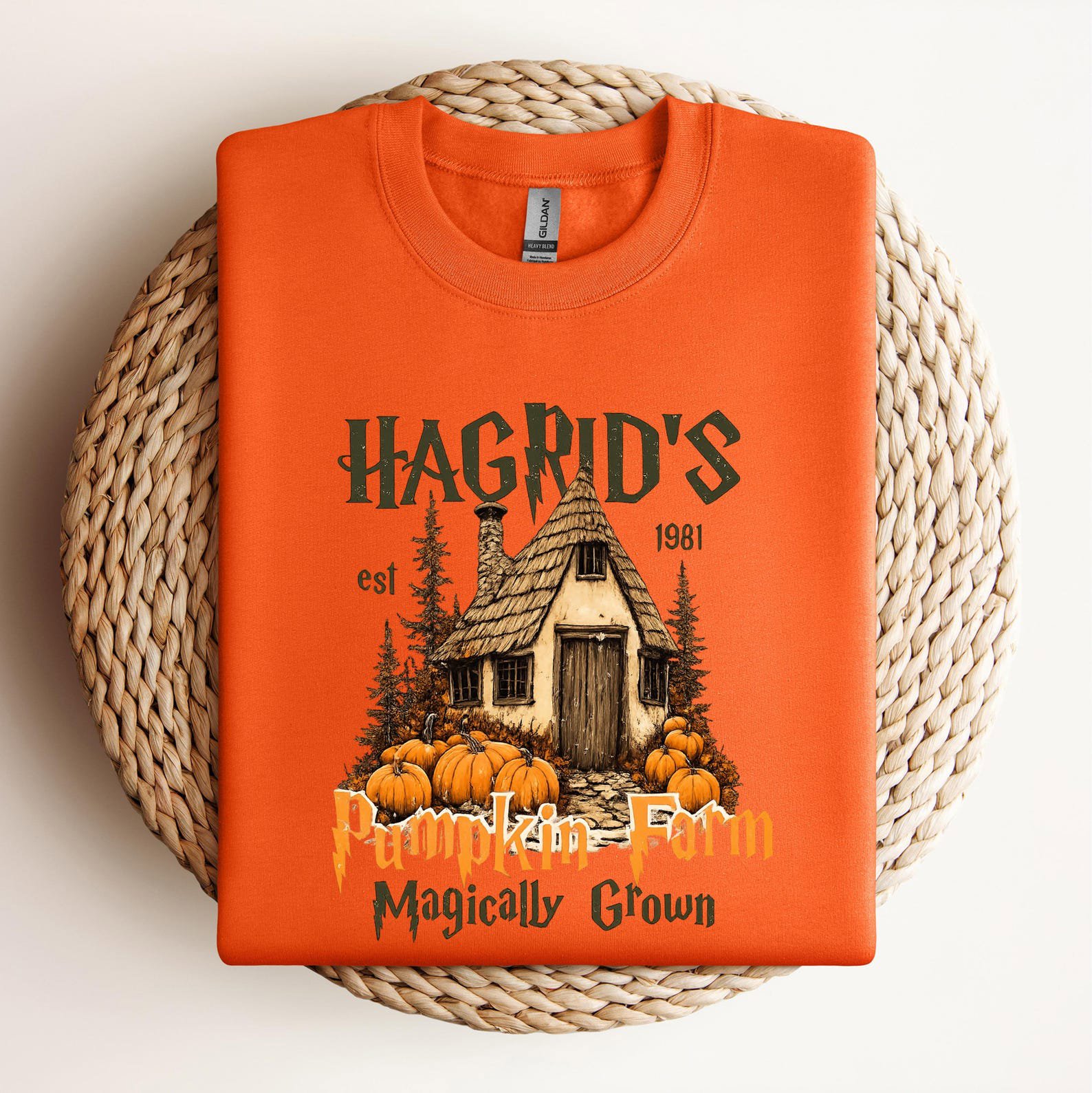 Magical Cottage Pumpkin Farm Shirt ,Vintage Hut Graphic For Family Matching Halloween Outfit 6