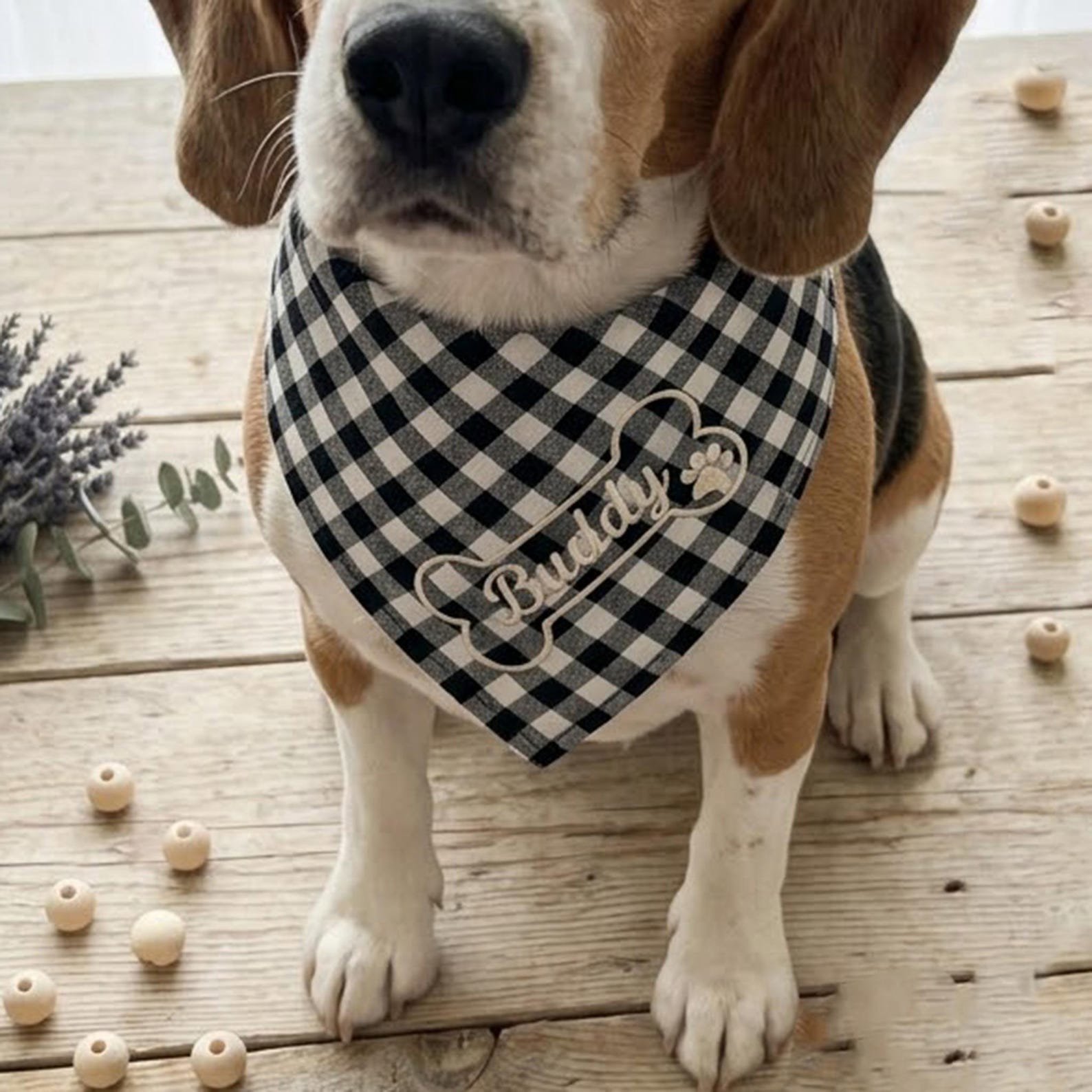 Embroidered Dog Bandana with Custom Name, Gingham Pet Neck Scarf, Personalized Puppy Collar Accessory, Birthday Gift for Dog Lovers 2