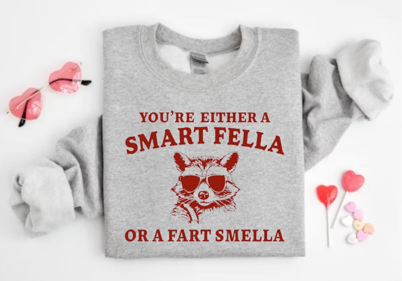 Are You A Smart Fella Or Fart Smella? Retro Cartoon T Shirt, Weird T Shirt, Meme T Shirt, Trash Panda T Shirt, Unisex, Are You A Smart Fella 2