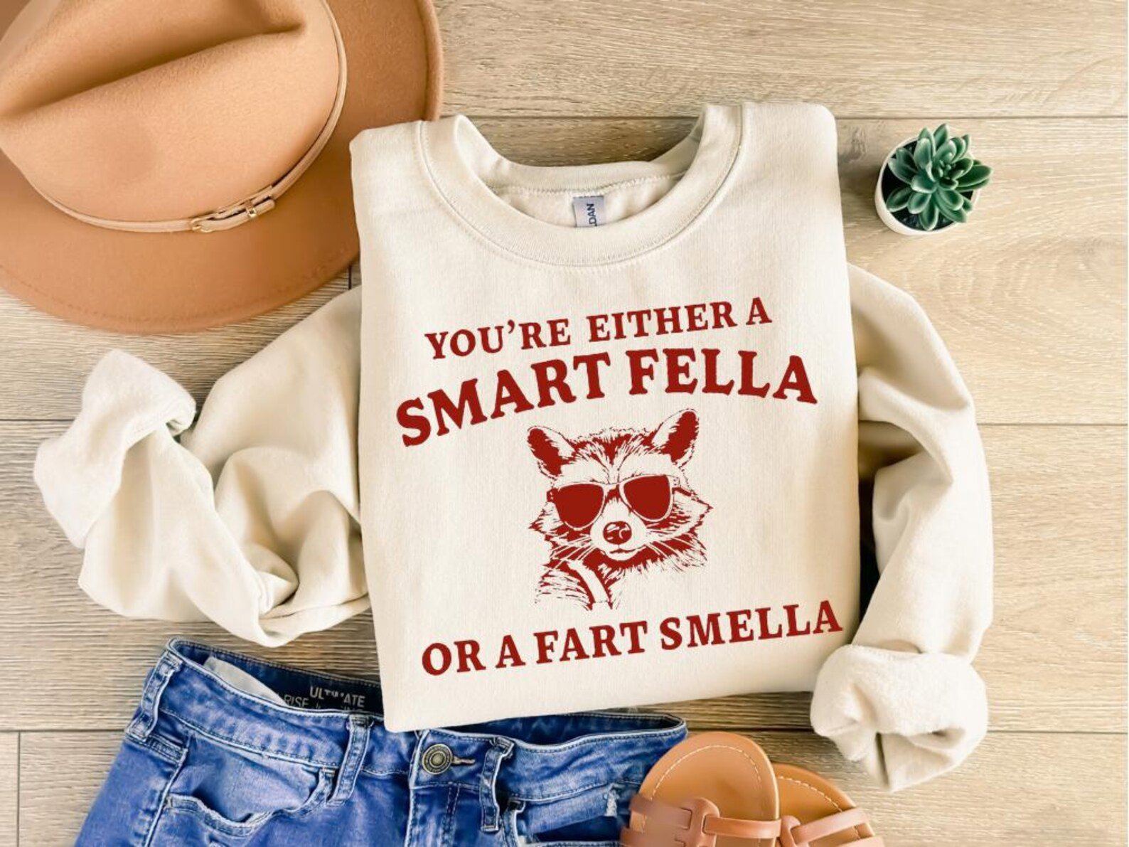 Are You A Smart Fella Or Fart Smella? Retro Cartoon T Shirt, Weird T Shirt, Meme T Shirt, Trash Panda T Shirt, Unisex, Are You A Smart Fella 3