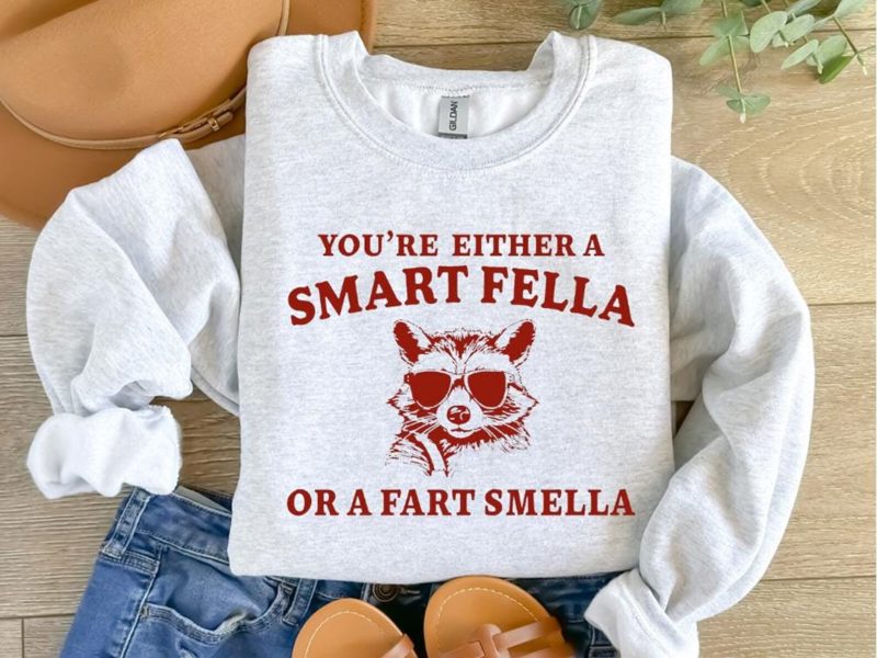 Are You A Smart Fella Or Fart Smella? Retro Cartoon T Shirt, Weird T Shirt, Meme T Shirt, Trash Panda T Shirt, Unisex, Are You A Smart Fella