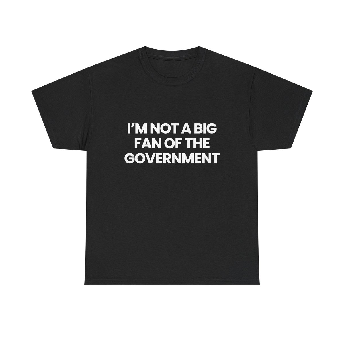 Not a big fan of the government